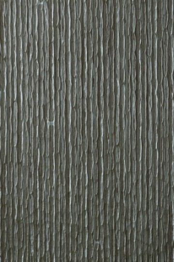 Arte 67273 Aspen - tapeta obiektowa o wzorze kory drzewa