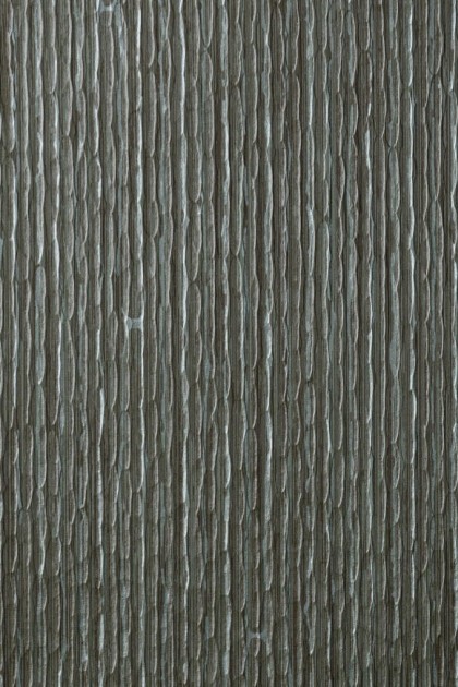 Arte 67273 Aspen - tapeta obiektowa o wzorze kory drzewa