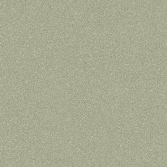 Boras Tapeter 7582 Pigment Olivine Sand - jednolita tapeta w oliwkowym kolorze