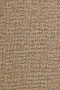 e2905cd357a9f25087aa06e307e54b1d