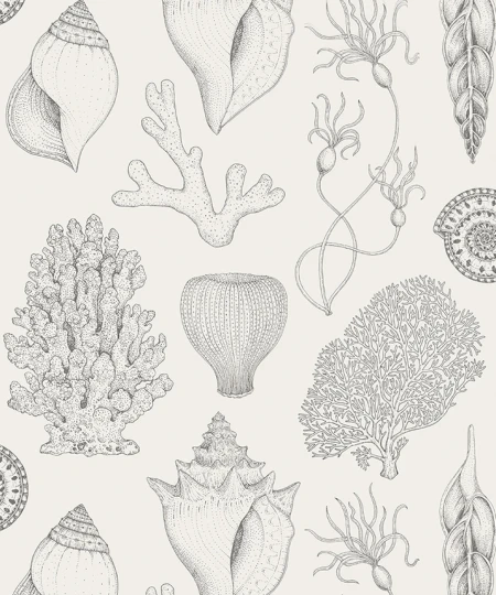 Ferm Living 1100851768 Katie Scott Shells Off-White - tapeta muszelki