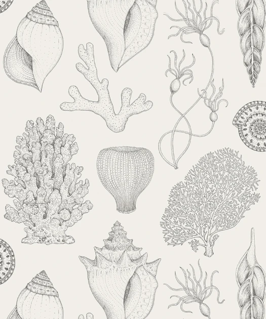 Ferm Living 1100851768 Katie Scott Shells Off-White - tapeta muszelki