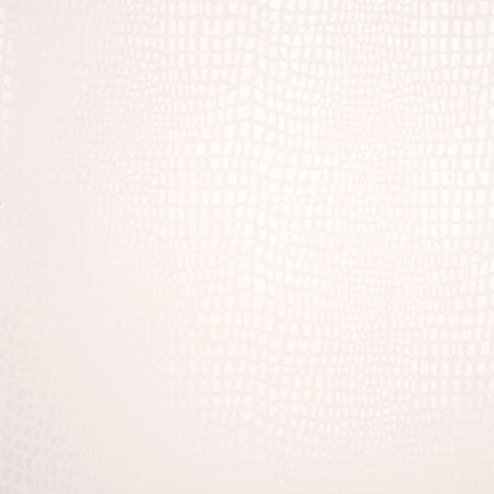 Tapeta Clarke & Clarke Couture STRIKE W0004/04
