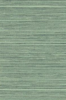 d6202928dc67c433dfc12d44c5c515ca