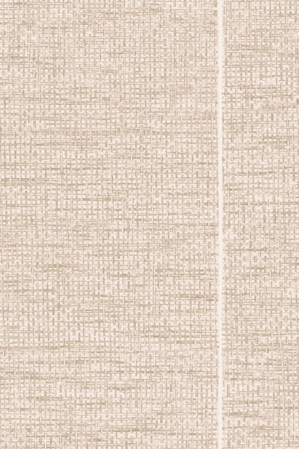 Arte 26741 Essentials Les Naturels La Raphia Tisse Fog - tapeta o teksturze tkanej rafii
