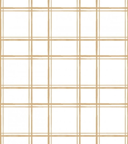 e4297c3be4722f1d476ea64a1caf4244