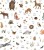 85a68170ff05e6c704eeb87614a98407