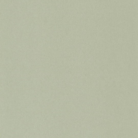 Casadeco 82077159 Derby Helsinki Resolution Uni Amande - zielona tapeta minimalistyczna