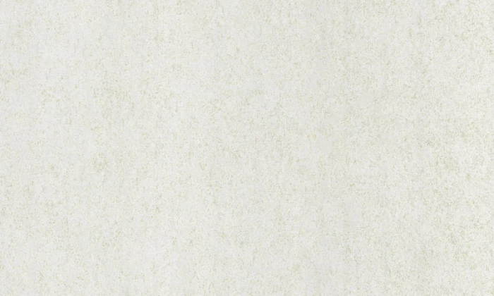 d55f024b5704a05cb74991ca4112aa38
