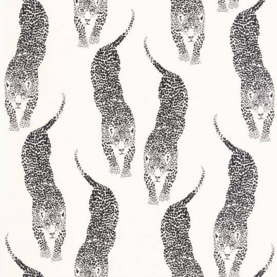 Caselio 104920995 Wild Panthera - tapeta z panterą