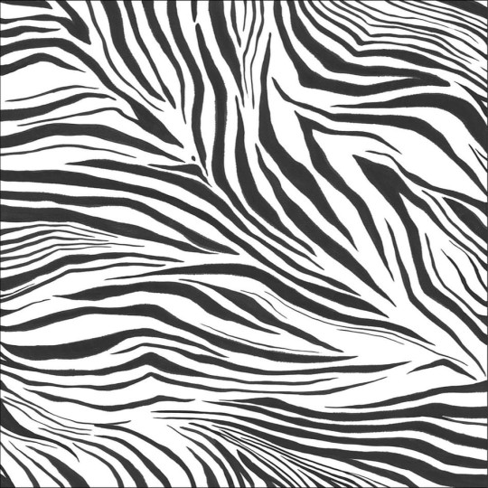 Caselio 104960903 Wild Zebra_M - mural zebra