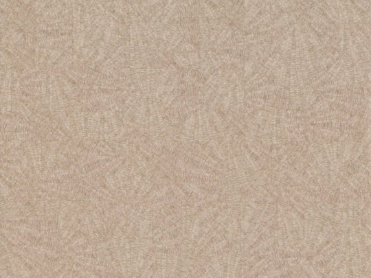 BN 5028688 Structure Sensu - tapeta z motywem rozproszonych linii