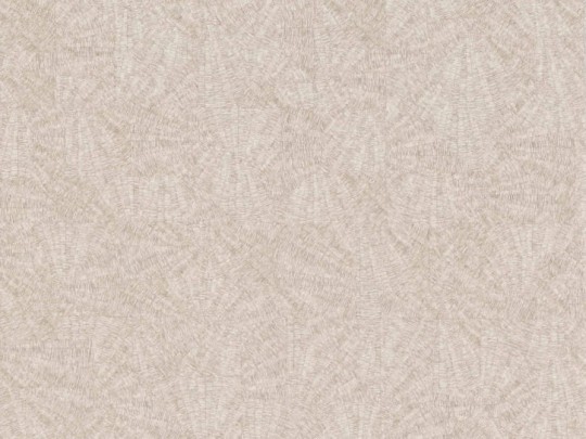 BN 5028689 Structure Sensu - tapeta z motywem rozproszonych linii