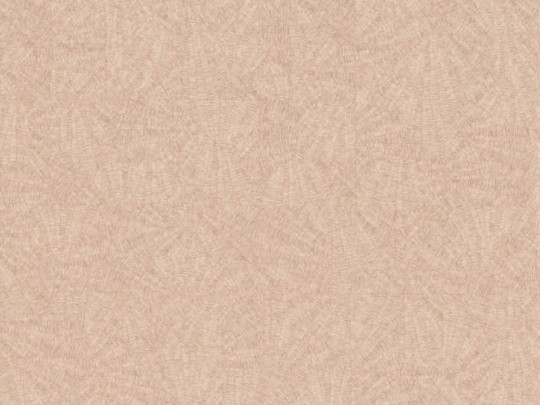 BN 5028790 Structure Sensu - tapeta z motywem rozproszonych linii