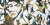 cd541f7923a12fa50c940f41a3edbe4a