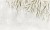5cd1ab1f12403957fa79d5acfda10fca