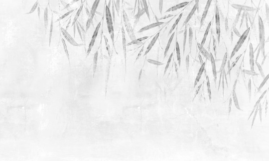 Dekorami Willow 3 - mural z wierzbą