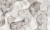 a2b1547f6ffee1e6d1c53cc94bfb7d44
