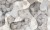 3aedd6a7d325ca1882f2ca282f0cded9
