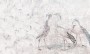 5e799592a47af80bcc081cea936b602b