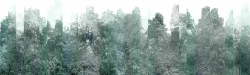 7ead65c67f3682155edfcc83cd4256ee