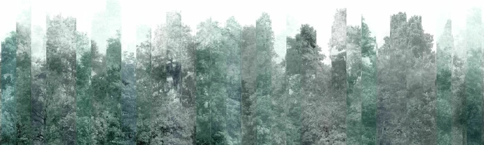 7ead65c67f3682155edfcc83cd4256ee