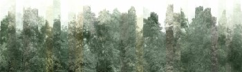 935a1a0b1cf37114340932bef930b128
