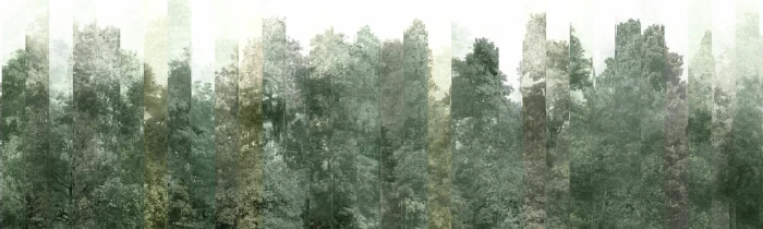 935a1a0b1cf37114340932bef930b128