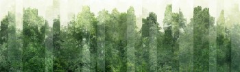 e336672855a3f338bcf2e0c465b53b40