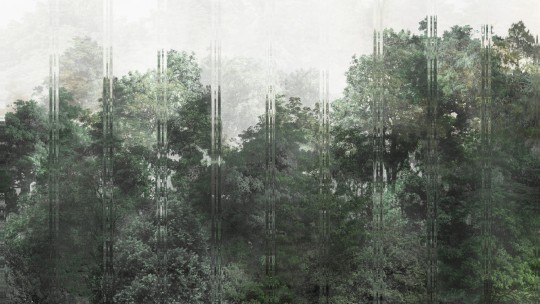 Dekorami Aliento 1 - mural drzewa