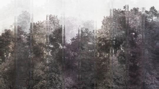 Dekorami Aliento 2 - mural drzewa