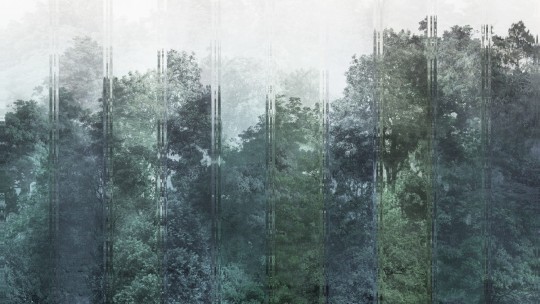 Dekorami Aliento 4 - mural drzewa