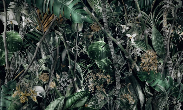 Dekorami Amazonia 2 - mural egzotyczny
