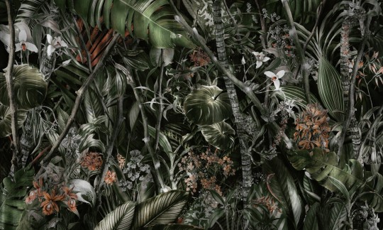 Dekorami Amazonia 3 - mural egzotyczny