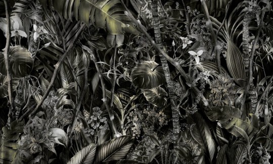 Dekorami Amazonia 4 - mural egzotyczny