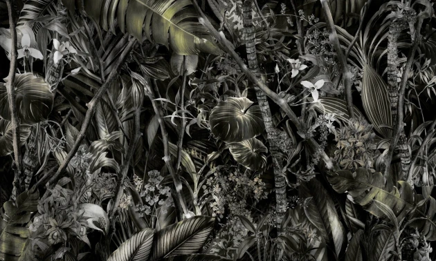Dekorami Amazonia 4 - mural egzotyczny