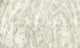 eab4a3efed86a0bc210827bad3cd617a