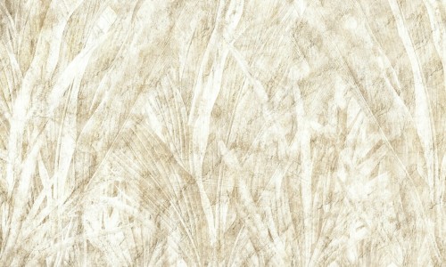 aafffcd89dc59a941440e7e86fe370c3