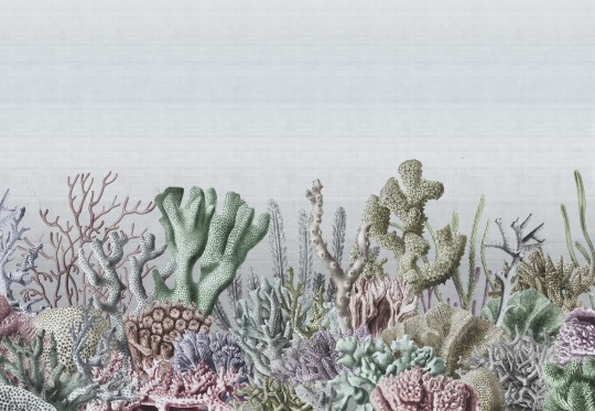 Dekorami Corale 1 - mural morski