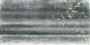 c82323b4b6a0851464b937f867c3e751