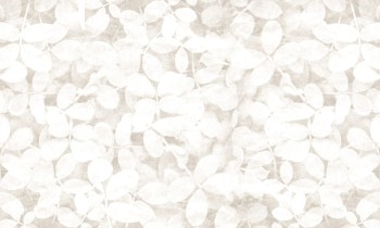 c2fdc7b115db36f3ab222d22a046adf0