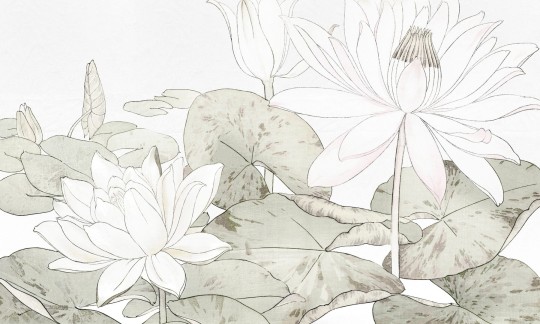 Dekorami Hasu 3 - mural w lilie wodne