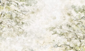 4f7a48ab3941b5eea9c2b5f5d6b27617