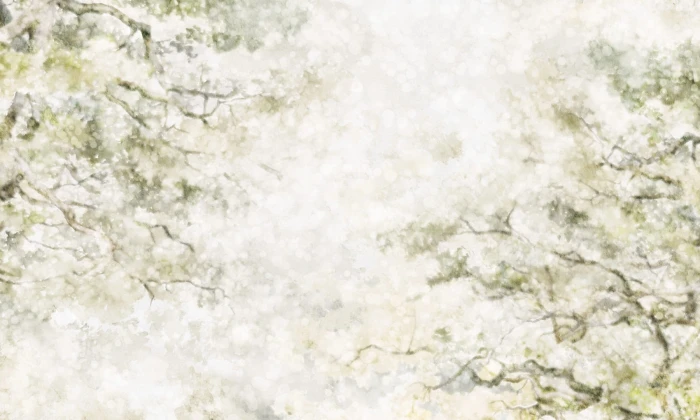 4f7a48ab3941b5eea9c2b5f5d6b27617