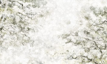 67dcacc30b38596c89c2e644012f3a62