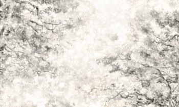 a5d6d3fd805b7f3baf5cafdc911e62c2