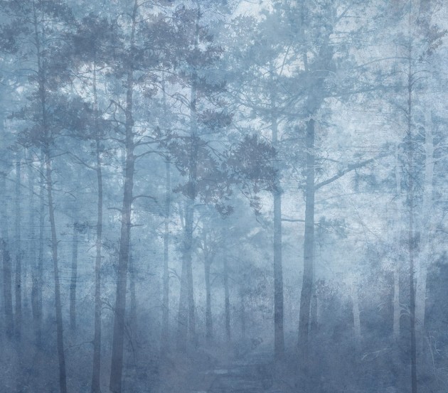 Dekorami Misty Forrest blue - mural las