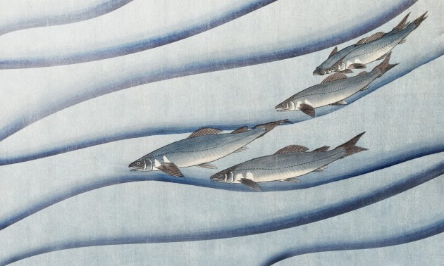 Dekorami NiNoru 2 - mural ryby
