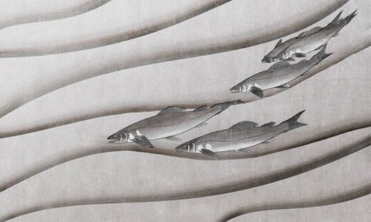 Dekorami NiNoru 4 - mural ryby