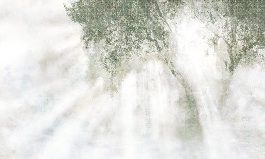 Dekorami Ray Of Light 1 - mural drzewo